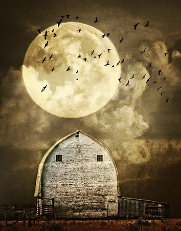 The Hunters Moon