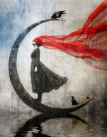 Midnight Feathers and Crimson Veil