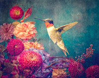 Bloombound Flight