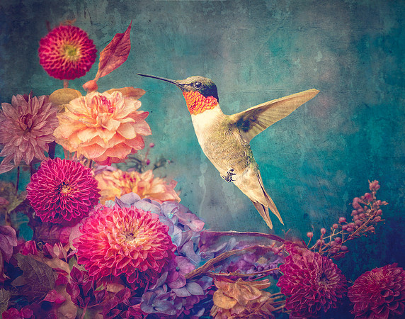 Bloombound Flight
