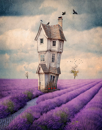 Fields of Flight and Fragrance
