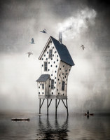 The PolkaDot Perch