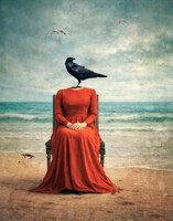 Lost in Caw-ntemplation