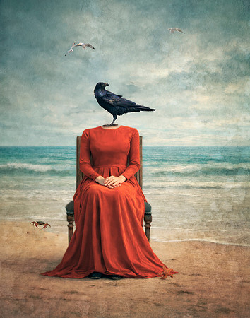 Lost in Caw-ntemplation