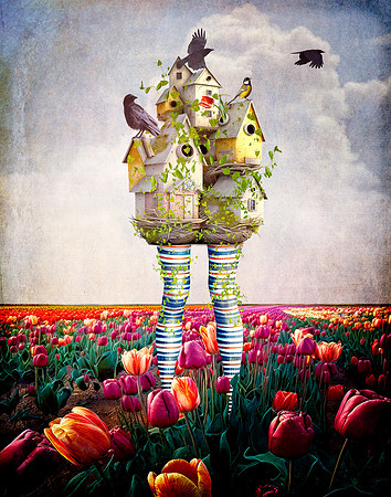 Birds of a Feather, Moving Together