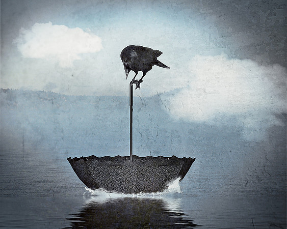 An Old Crows Sailboat