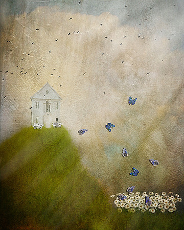 Butterflies (Published in Digital Studios)