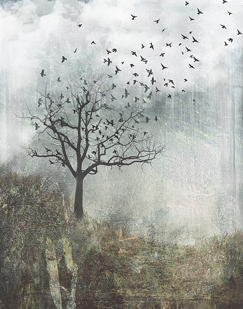Flock from the Tree