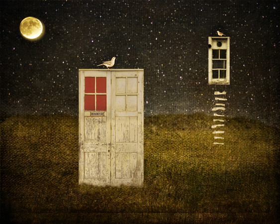 Emergency Exit