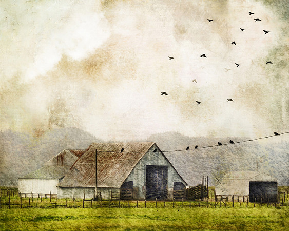 Old Homestead
