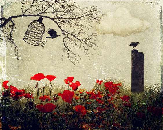 Be Free