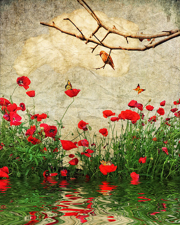 The Secret Garden