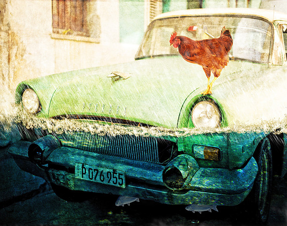 Chicken of the Sea
