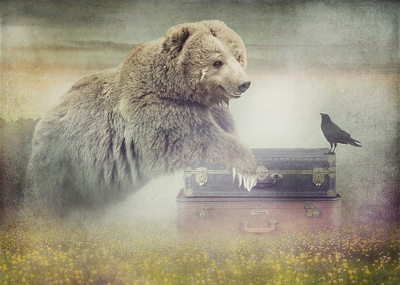 Kodiak and the Crow