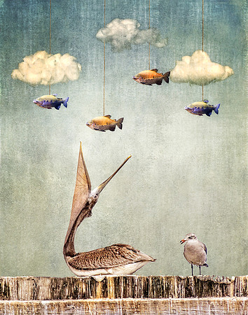Catching Fish