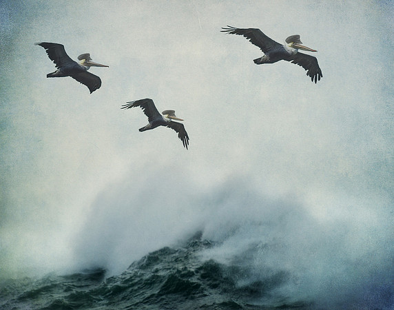 Flight Squad