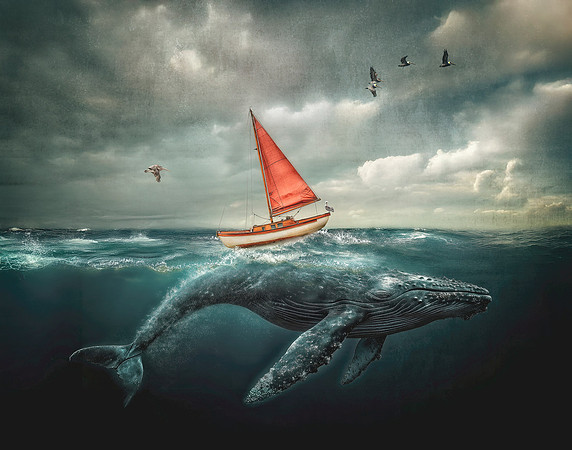 Crimson Sail on Whispering Giant