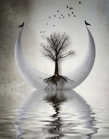 Tree of Life