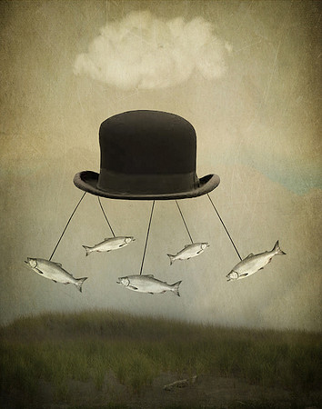 Salmon Derby