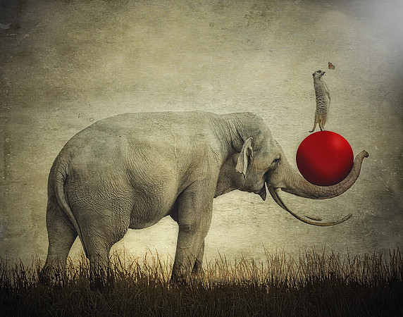 A Lift Up