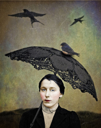 Flight of the Swallow