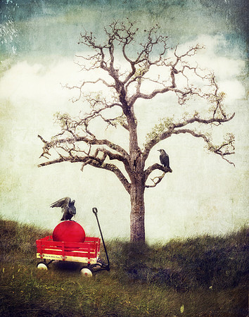 Days Gone By