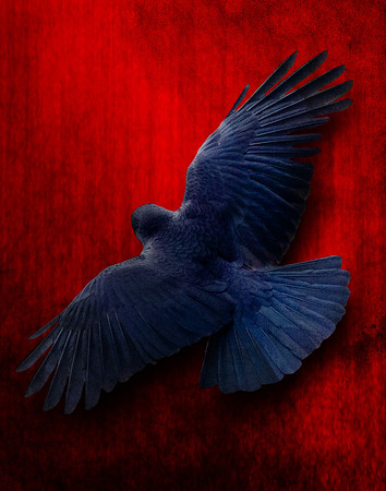 Crimson in the Sky