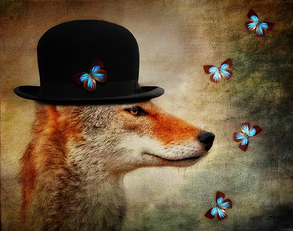 Flying Dreams