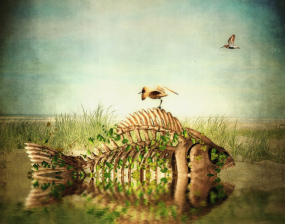 Fish Bones