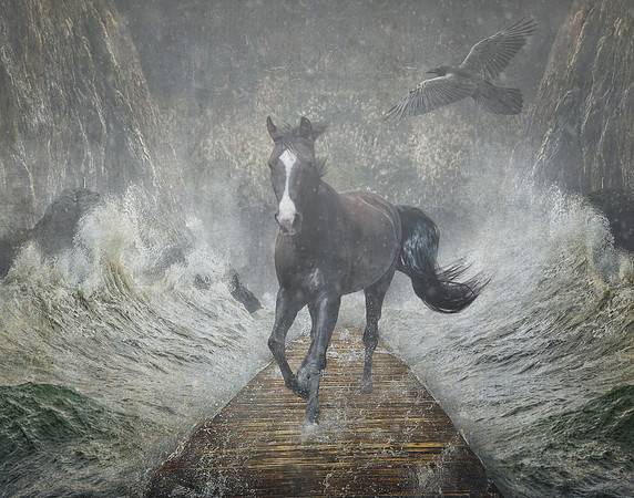 The Path We Take