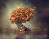 Song of the Leaf Bound Soul