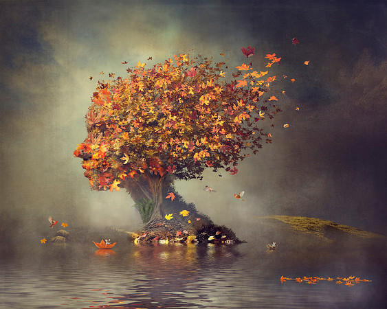 Song of the Leaf Bound Soul